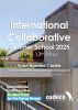 Visuel de la summer school International collaborative
